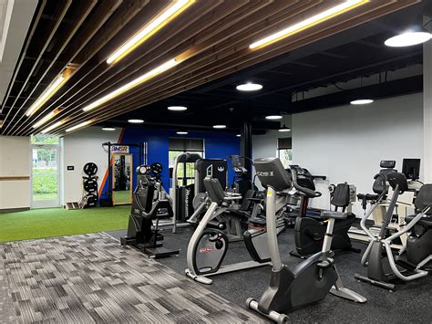 integrated physical therapy bryn mawr